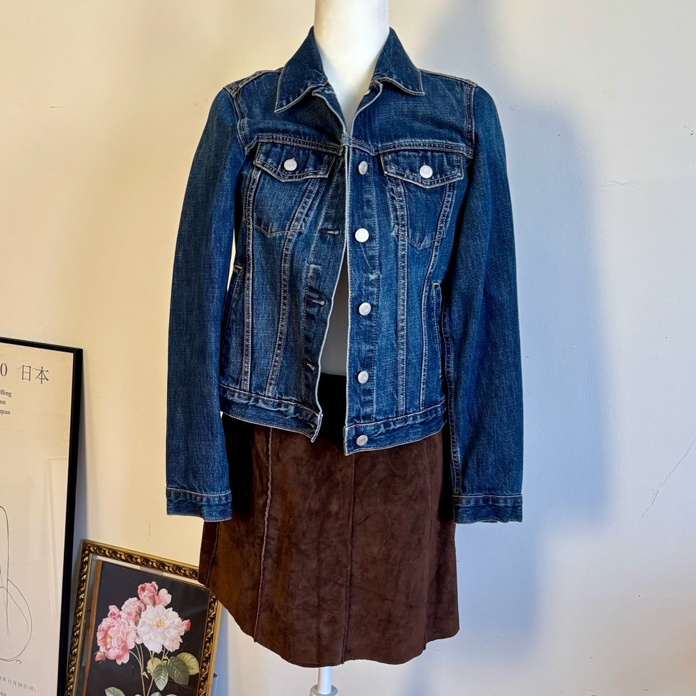 Banana Republic Brown Suede Mini Skirt